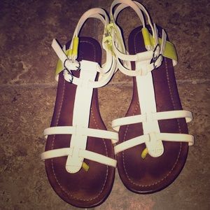 Aldo Sandal
